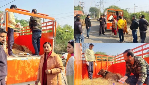 'मूवमेंट कल्कि और गोरक्षा संगठन ने रूप नगर एनिमल केयर सेंटर में लापरवाही के खिलाफ शिकायत दर्ज कराई'